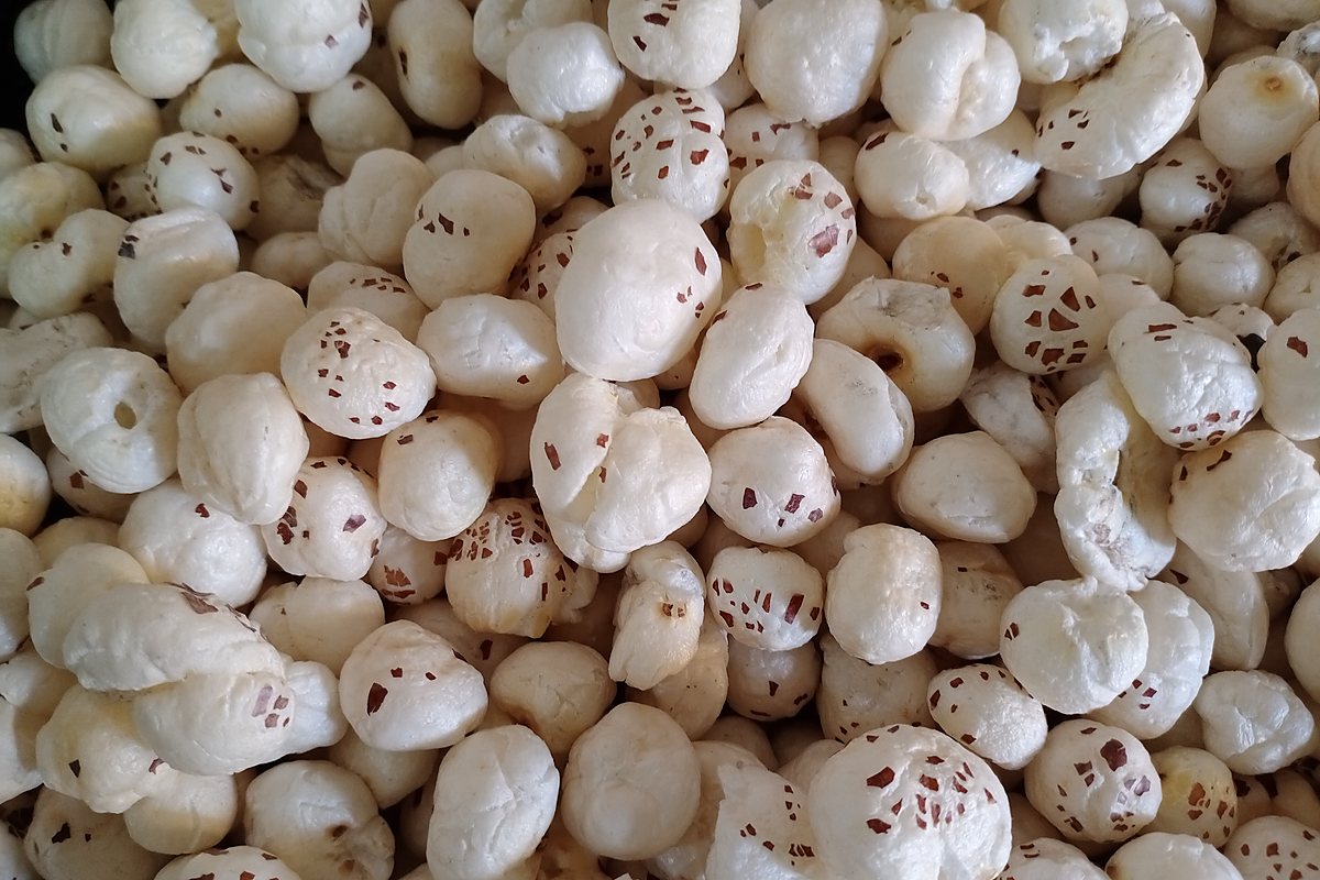 Indian makhana foxnuts shown as a sourcing reference for import buyers